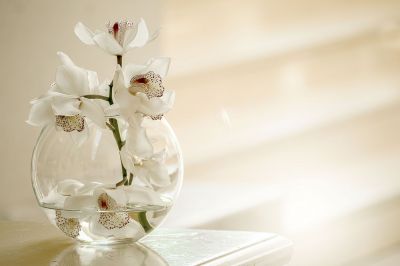 5 Raisons de choisir le mariage devant  notaire!