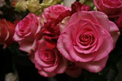 Idées cadeaux de Saint-Valentin…