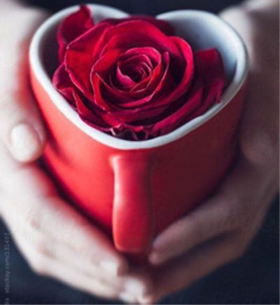 C’EST LA SAINT-VALENTIN…CÉLÉBREZ L'AMOUR ?
